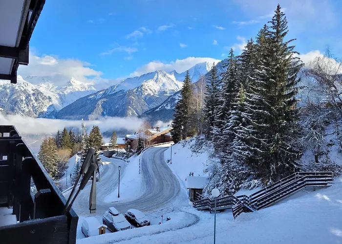 Cosy 4 Pers, Skis Aux Pieds A - Fr-1-575-10 *