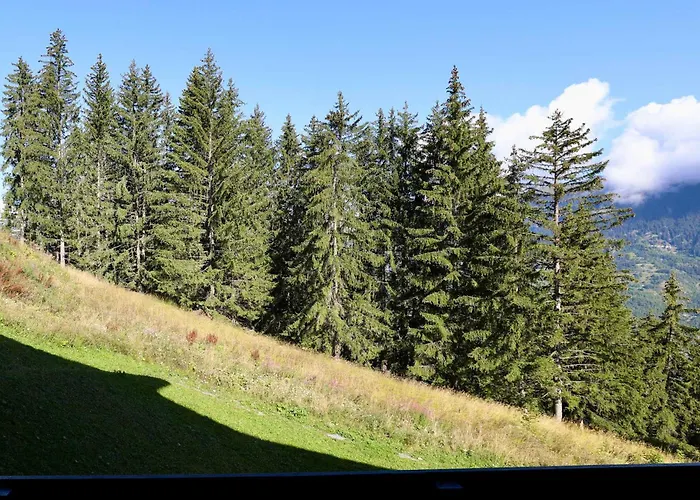 Cosy 4 Pers, Skis Aux Pieds A - Fr-1-575-10 Apartmán